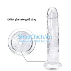 Dương vật giả trong suốt dương vật giả trong suốt gắn tường