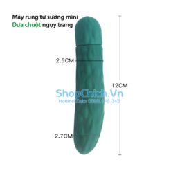 máy rung tự sướng máy rung mini trái cây ngụy trang
