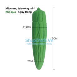 máy rung tự sướng máy rung mini trái cây ngụy trang