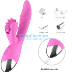 chim giả đa năng chim giả đa năng xoay liếm kết hợp sưởi ấm