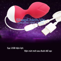 Máy rung bướm máy rung âm đạo hình cánh hoa