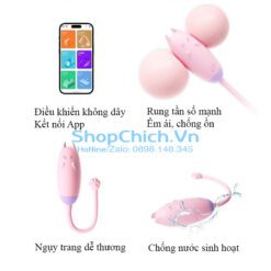 Máy rung không dây MEOW máy rung không dây Mê Hồ Mèo app/remote